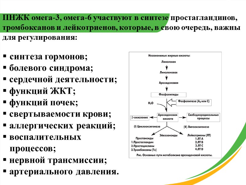 ПНЖК омега-3, омега-6 участвуют в синтезе простагландинов, тромбоксанов и лейкотриенов, которые, в свою очередь,